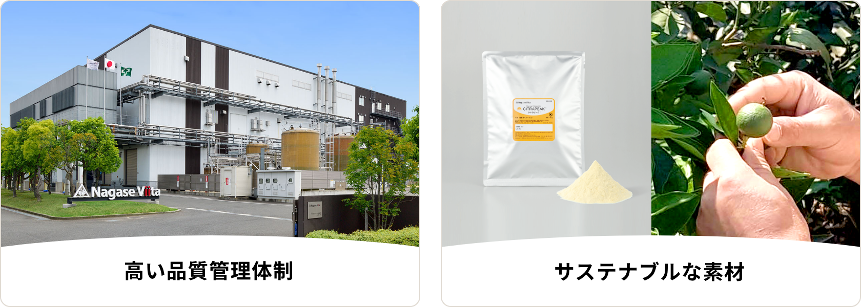 高い品質管理体制とサステナブルな素材