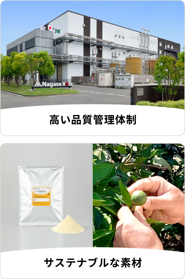 高い品質管理体制とサステナブルな素材