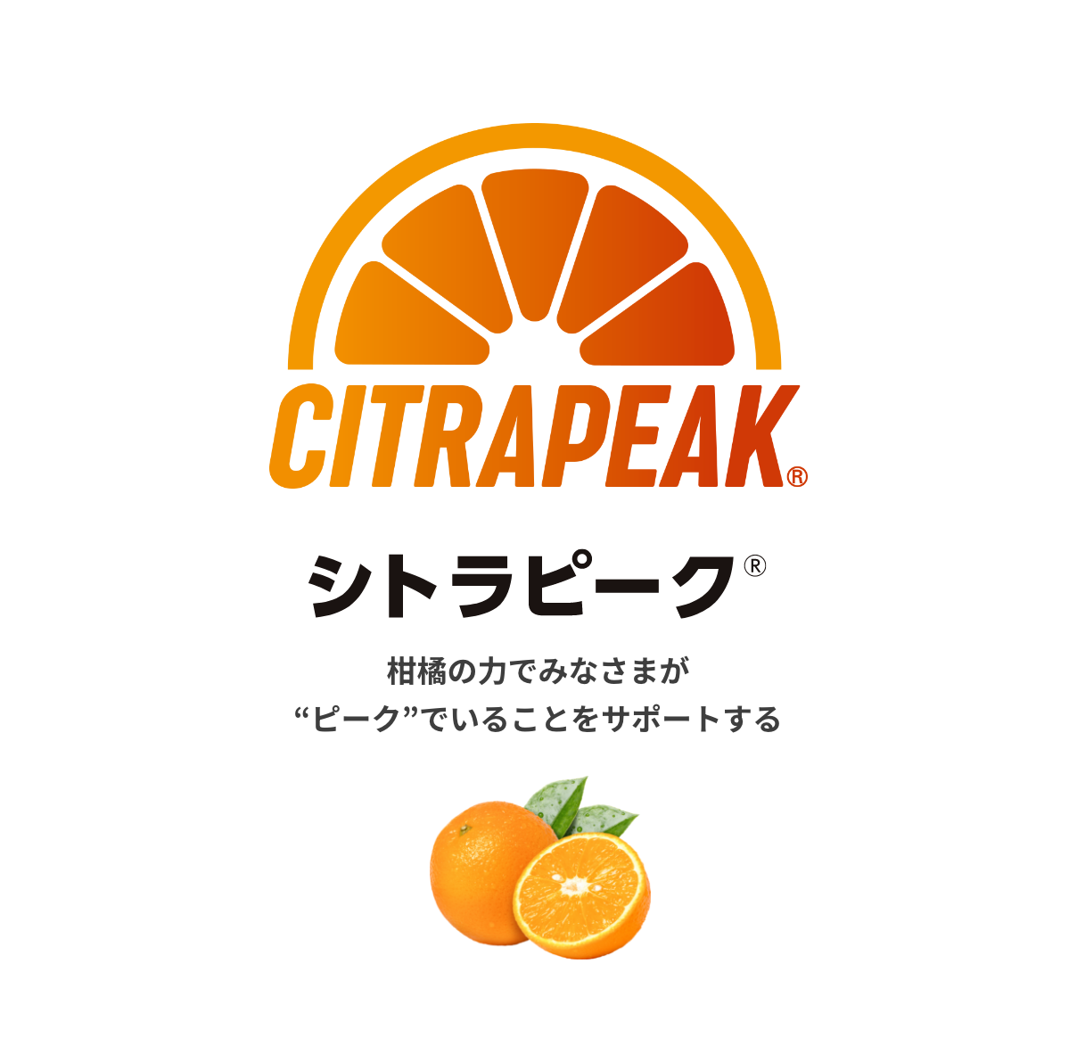 CITRAPEAK シトラピーク® 柑橘の力でみなさまが“ピーク”でいることをサポートする